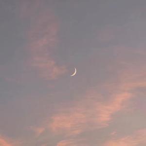 美女被男人扒开腿猛❌视频免
